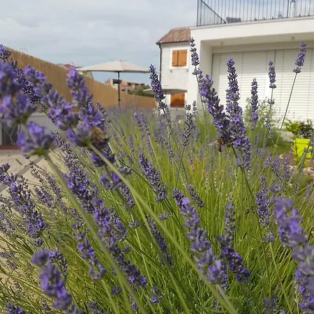 Ma&ma Brodarica (Sibenik-Knin)