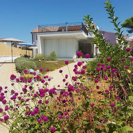 Apartment Ma&ma Brodarica (Sibenik-Knin)