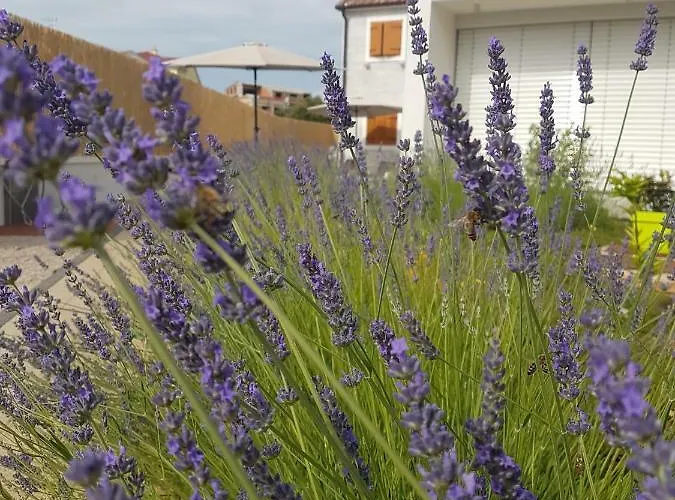 Ma&ma Brodarica (Sibenik-Knin)